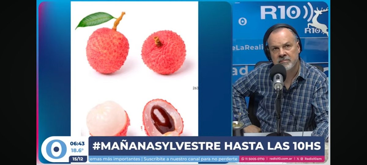 #MañanaSylvestre <a href="/Radio10/">Radio 10 - AM 710</a> 
<a href="/Gatosylvestre/">Gustavo Sylvestre</a> <a href="/gabilombardia/">Gabriel Lombardia</a> 
Fruto importado más de 20.000 y la frutilla 7000 en el Central ??
Ni sueñen con Papaya