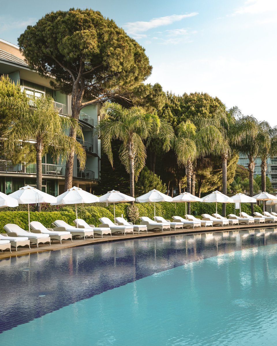 Calista Luxury Resort tweet media