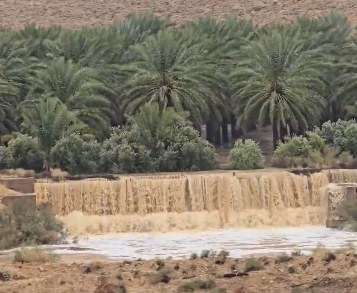 الحمدلله ملء السموات والأرض .