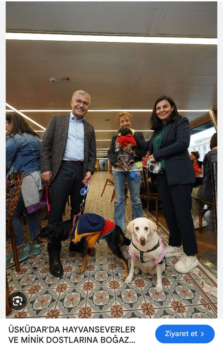 Karşı tarafa yaranmak için değil, bazıları gerçekten böyle oldukları için yapıyorlar. Bu insanlar sizden bizden değil. Konu köpek olduğunda Sera Kadıgil'den farkı yok bunların. Ak Parti bunları temizlemeden işi zor.