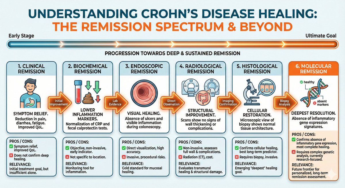 IBDGastroDocSg's tweet photo. The Remission Spectrum in Crohn's
#IBD #medtwitter #IBDTwitter https://t.co/LLpiJeTlex
