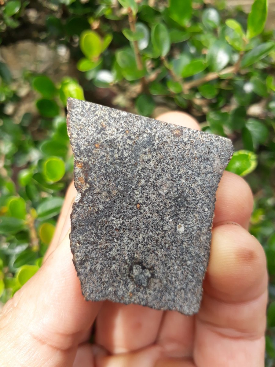 EL Chondrite. Price: 5usd/g