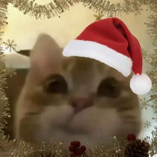 bandeez's tweet image. merry jeffmas to all $jeff holders

the start to something so great