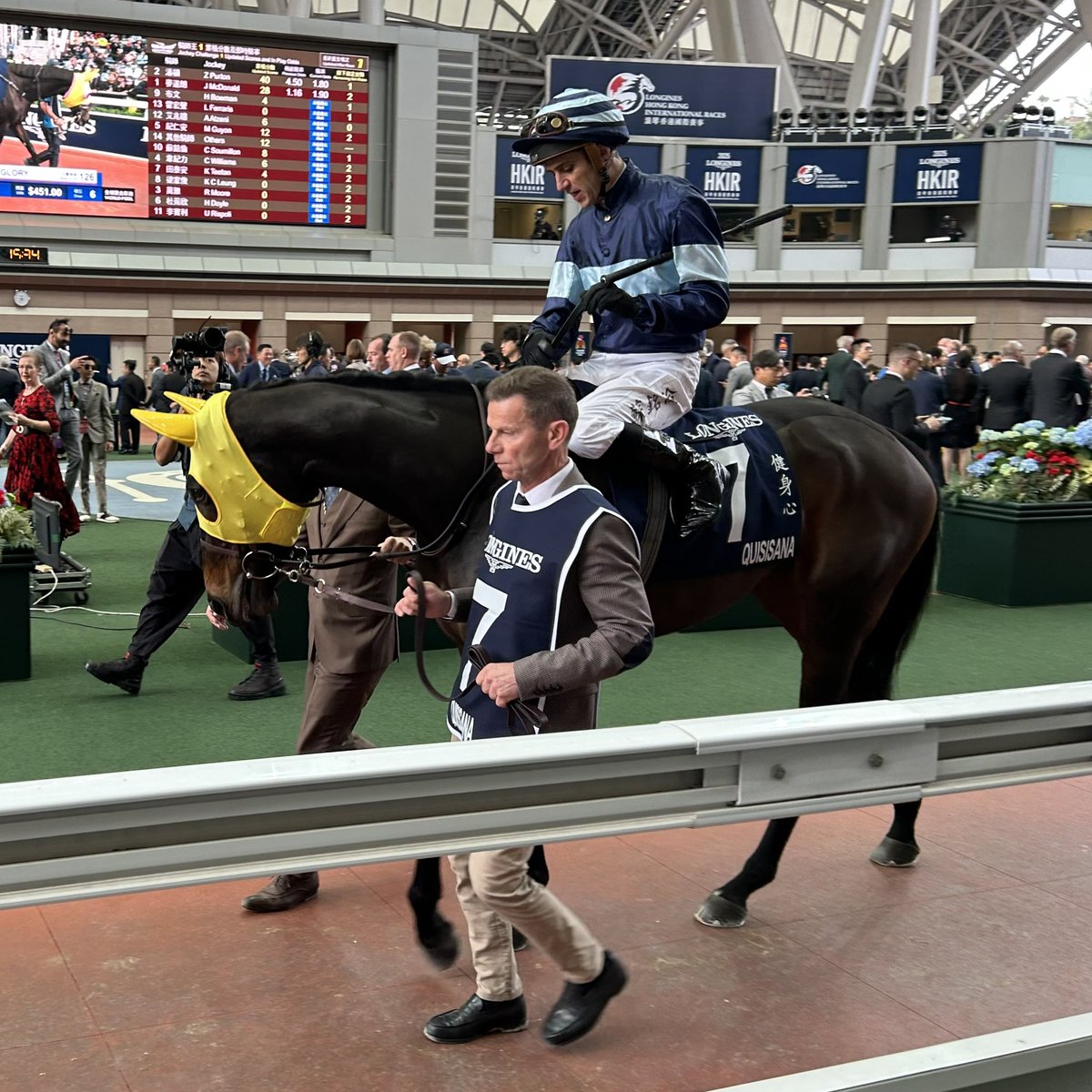 ぴょんぴょんうま (@tFb3Ozev5F46449) / Posts / X