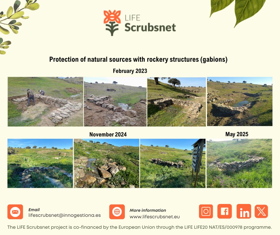 LScrubsnet's tweet photo. 🌿🐄 Finca Comunal de Siruela

Regeneramos 1,5 ha de dehesa combinando cultivo, pastoreo y restauración ecológica 

Mejora del suelo, gestión del agua y protección de áreas sensibles para un sistema más resiliente y sostenible 🌍✨

#LIFEScrubsNet #Dehesa #RestauraciónEcológica https://t.co/2EsHMyZcLV
