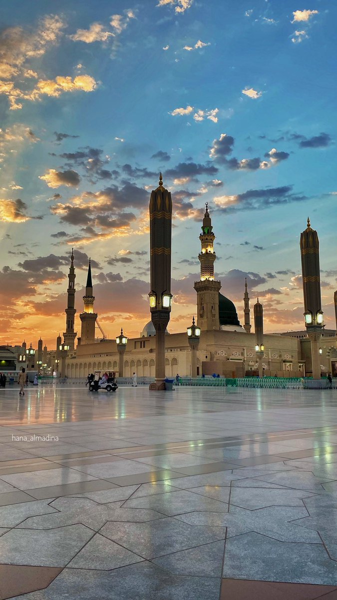 هناء المدينة tweet media