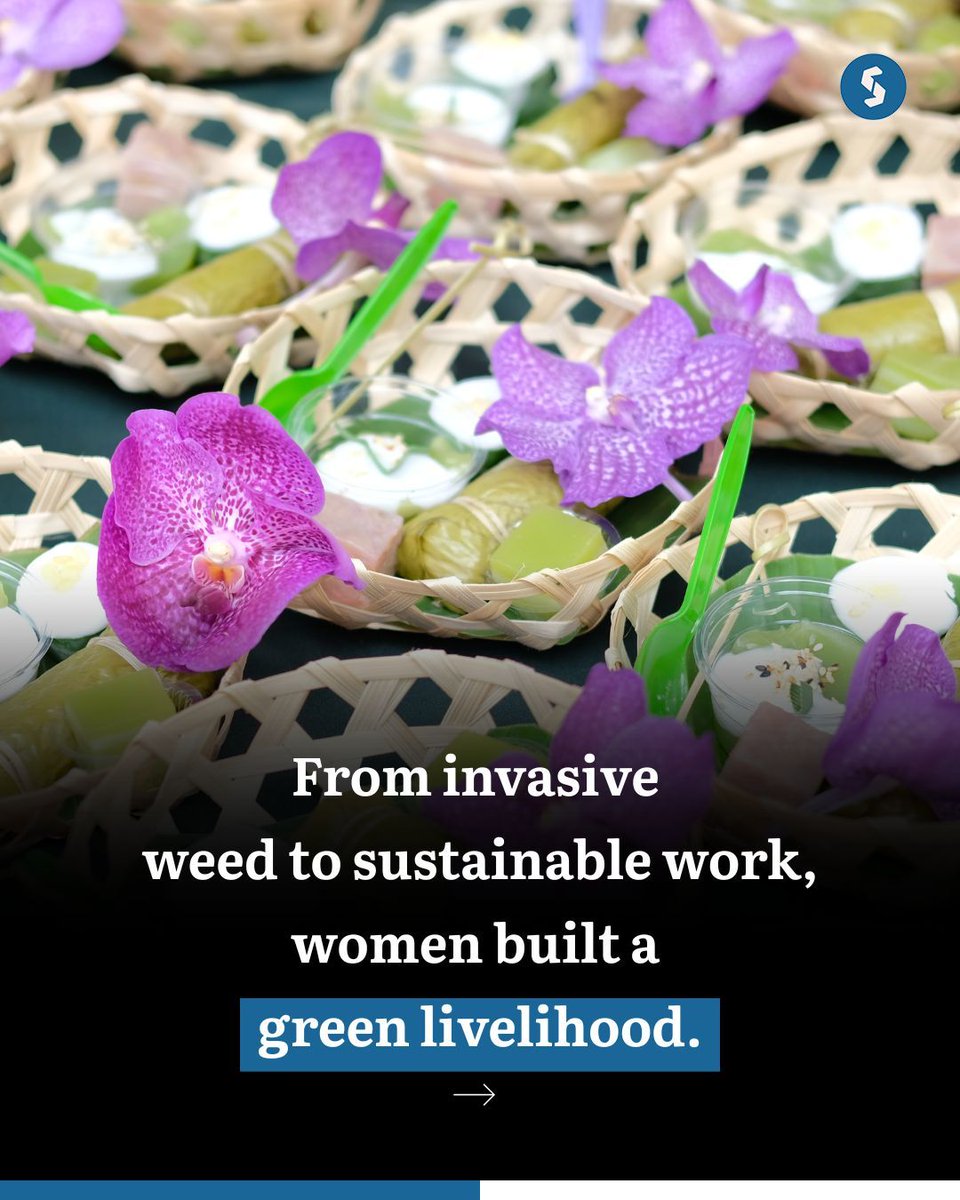 Secretariat_in's tweet photo. What began as an innovative way to turn invasive water hyacinth into sustainable products has become a source of dignity and income for rural women. But climate change—through erratic rains, frequent floods, and declining plant quality—is now putting this fragile green livelihood at risk, threatening both sustainability and survival.

#ClimateChange #GreenLivelihood #WomenEmpowerment #SustainableLiving #WaterHyacinth #ClimateImpact #RuralEconomy #EcoFriendly #GrassrootsInnovation #Sustainability #ClimateCrisis