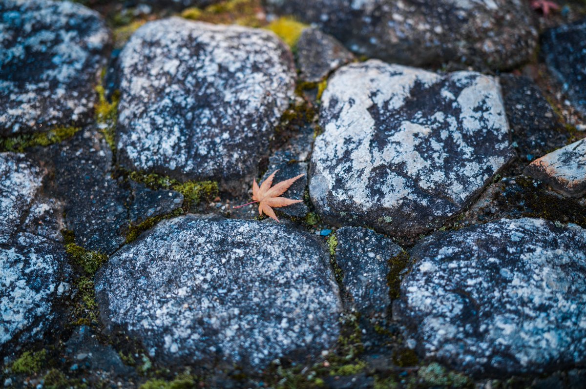 みかづき (@mic_azuki) / Posts / X