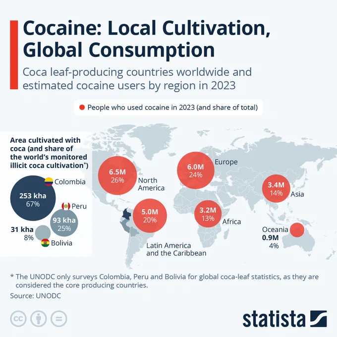 📟STATISTA: "La Colombia domina la coltivazione di coca nel 2023 con 253.000 ettari"