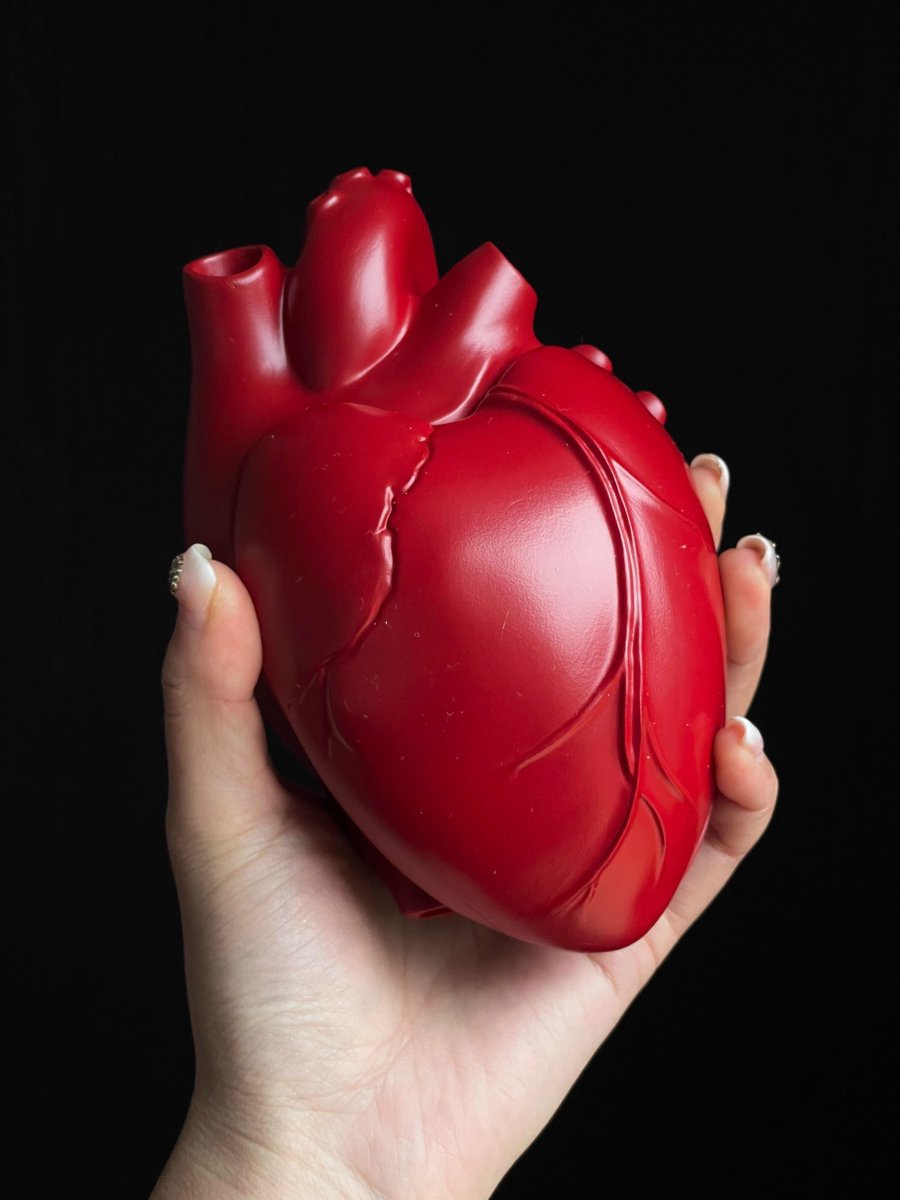 心臓のケース