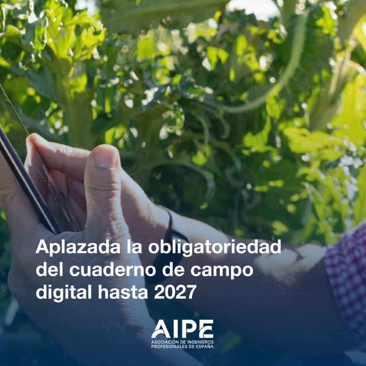 💻🌱 La obligatoriedad del cuaderno de campo digital se aplaza hasta 2027, dando tiempo a agricultores a adaptarse, pero la transformación digital sigue imparable.

🔗 plataformatierra.es/actualidad/apl…