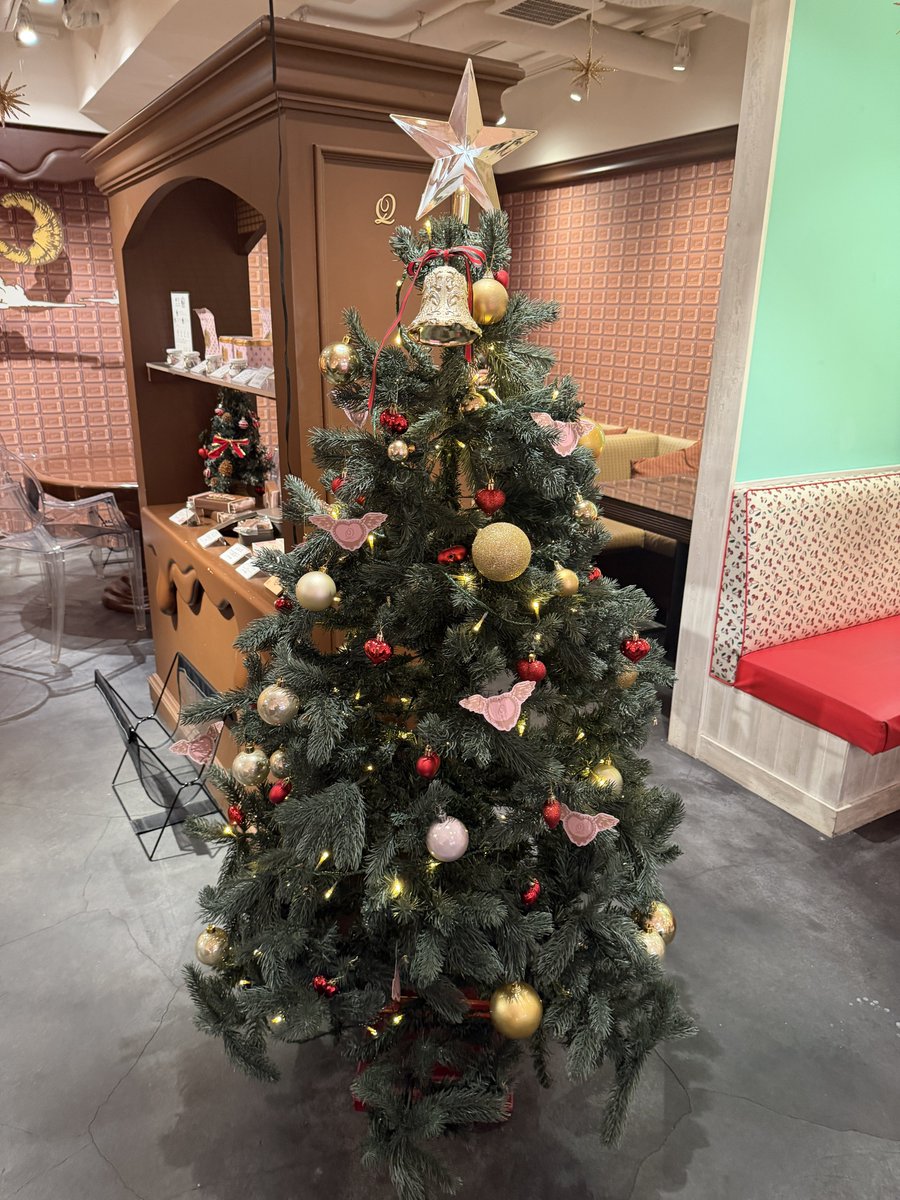 本日のツリー②
#鈴木瞳美