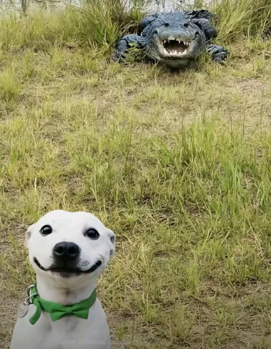 bread6d's tweet image. I FORGOT RAHH happy late 14th day of the month