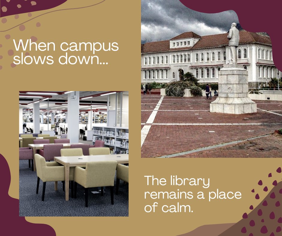 Lucinda Raath tweet media