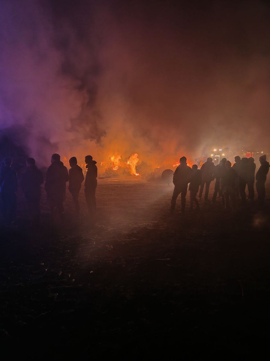 Action Française - Pau tweet media