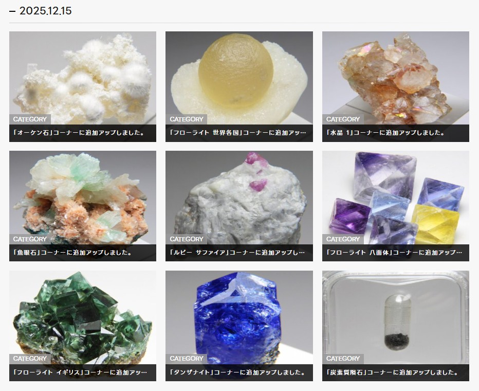 激レア！！炭素質タイプ　オルゲイユ隕石　標本 激レア！！炭素質タイプ　オルゲイユ隕石　標本