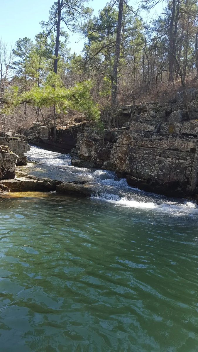 Weedhopper🦗 (@weedhopper96) on Twitter photo 