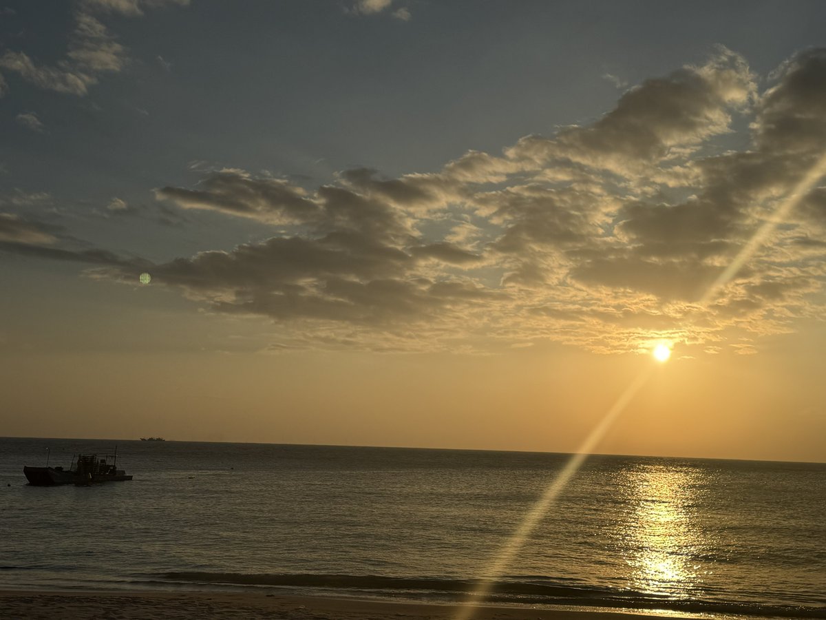 dibaidandan's tweet photo. 🌊 https://t.co/gRIatrCcIN