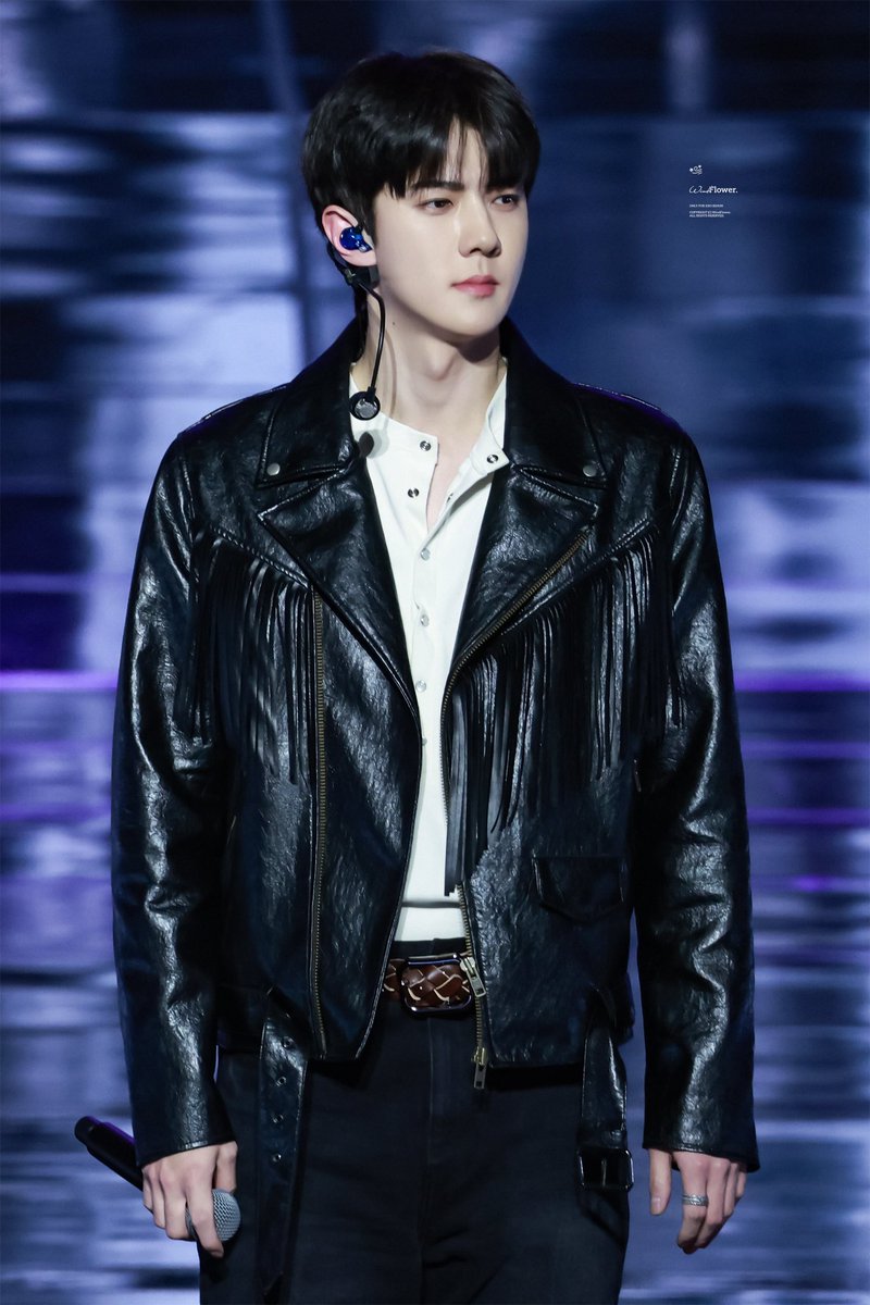 WindFlower tweet media