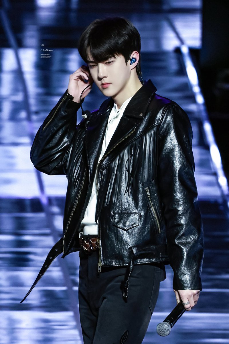 WindFlower tweet media