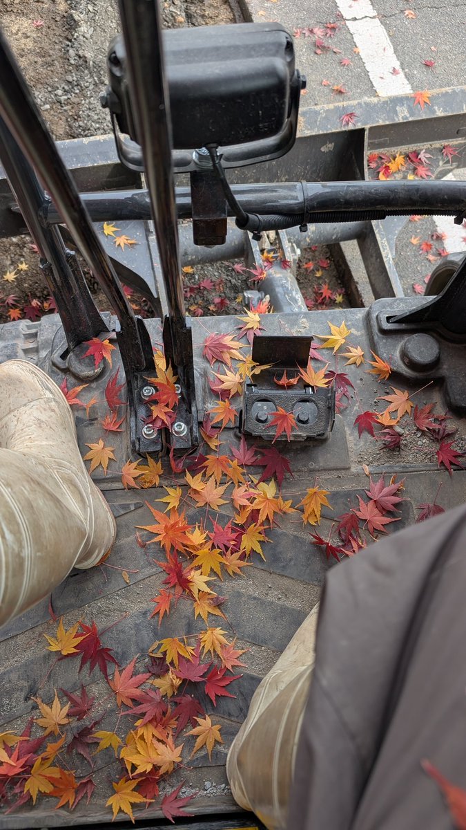 紅葉狩りしてたら遅くなったわ　帰ろう　お疲れ様🍁