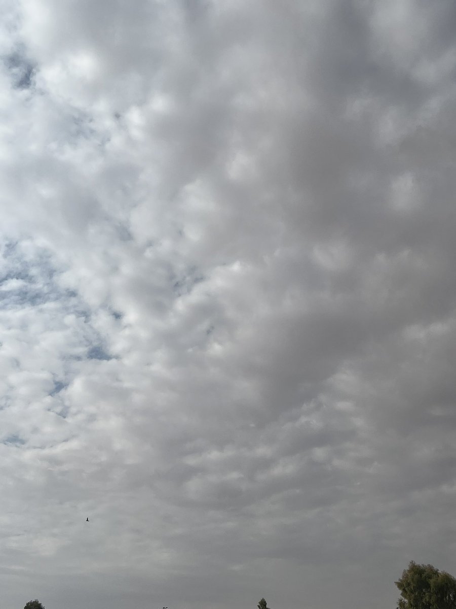 الجوّ هذا لطيف ومرهف وحاني 
كنه مشاعر فجر عيد .. بوجه طفله 

آسف عن أي آدمي مخطي على الثاني 
عيّا عناده  يخليّه يتأسف له  ..!