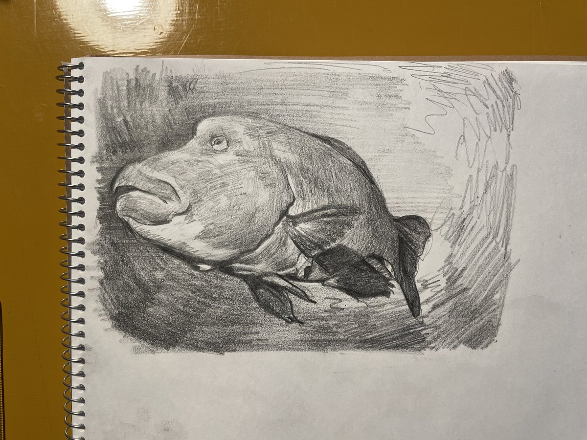 buri/ぶり tweet media