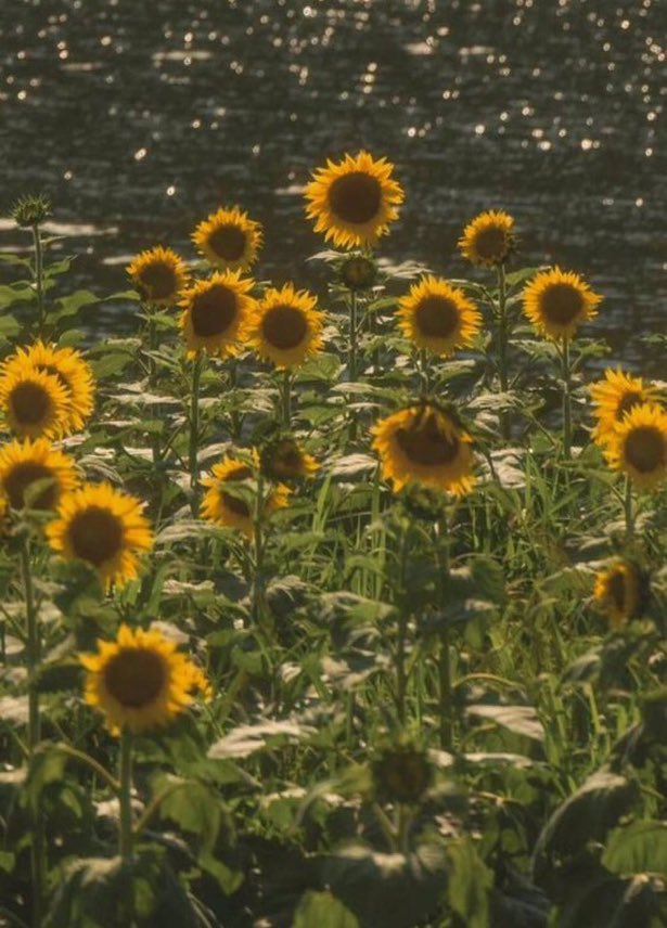 "Trust the prayers you plant"