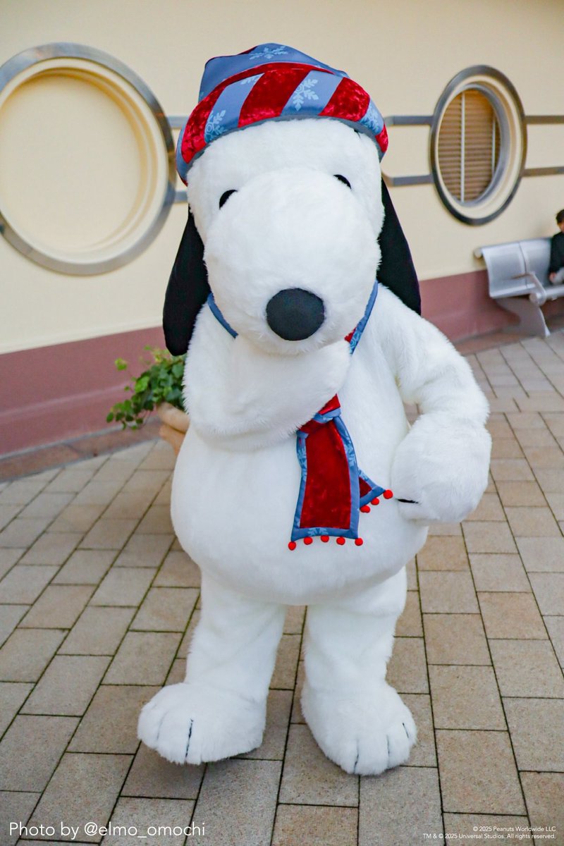 2025年も残すところ、あと半月…⏳ スヌーピーは、今年中に叶えたいこと