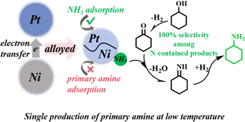 Ning Yan Lab tweet media