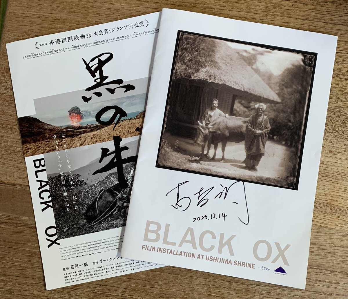 12.14、蔦哲一朗監督「黒の牛」牛嶋神社スペシャルイベントへ。
出演の田中泯さんの場踊り、抑制の効いたしなやかな動きに引き込まれました。映画に出ている牛ふくよも共演し、泯さんと通じ合ったり困らせたり🤭
主演リー・カンションさんを交えたトークも興味深く拝聴。公開が楽しみです✨
#黒の牛