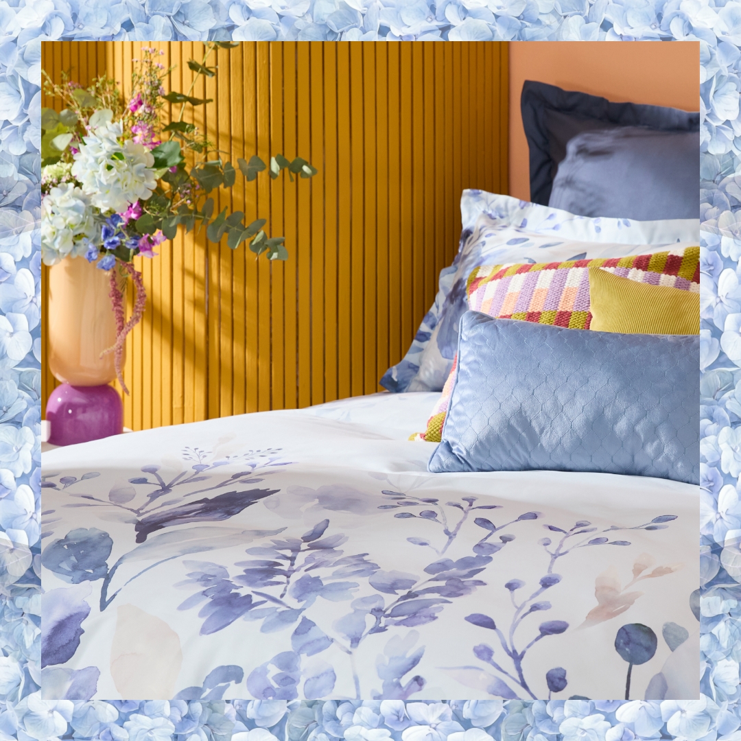 homechoice.co.za tweet media