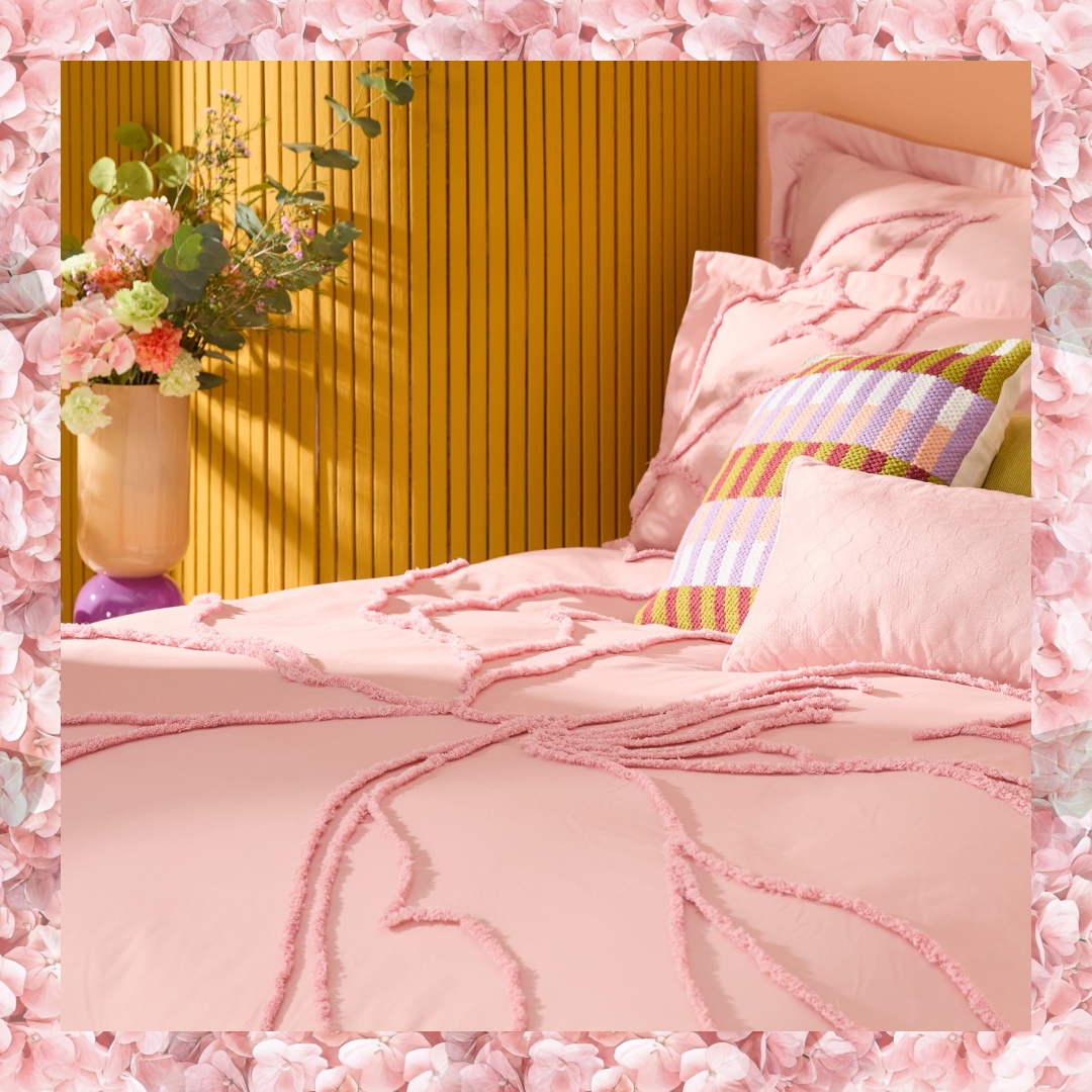 homechoice.co.za tweet media