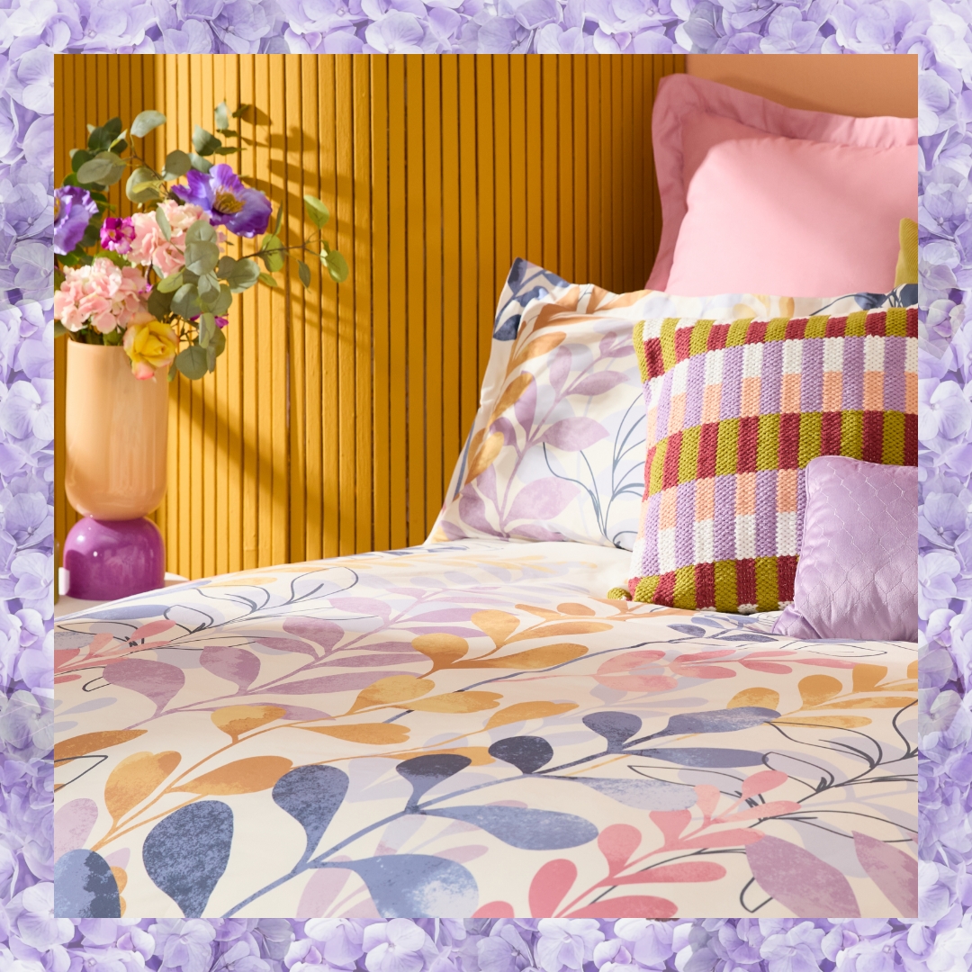 homechoice.co.za tweet media