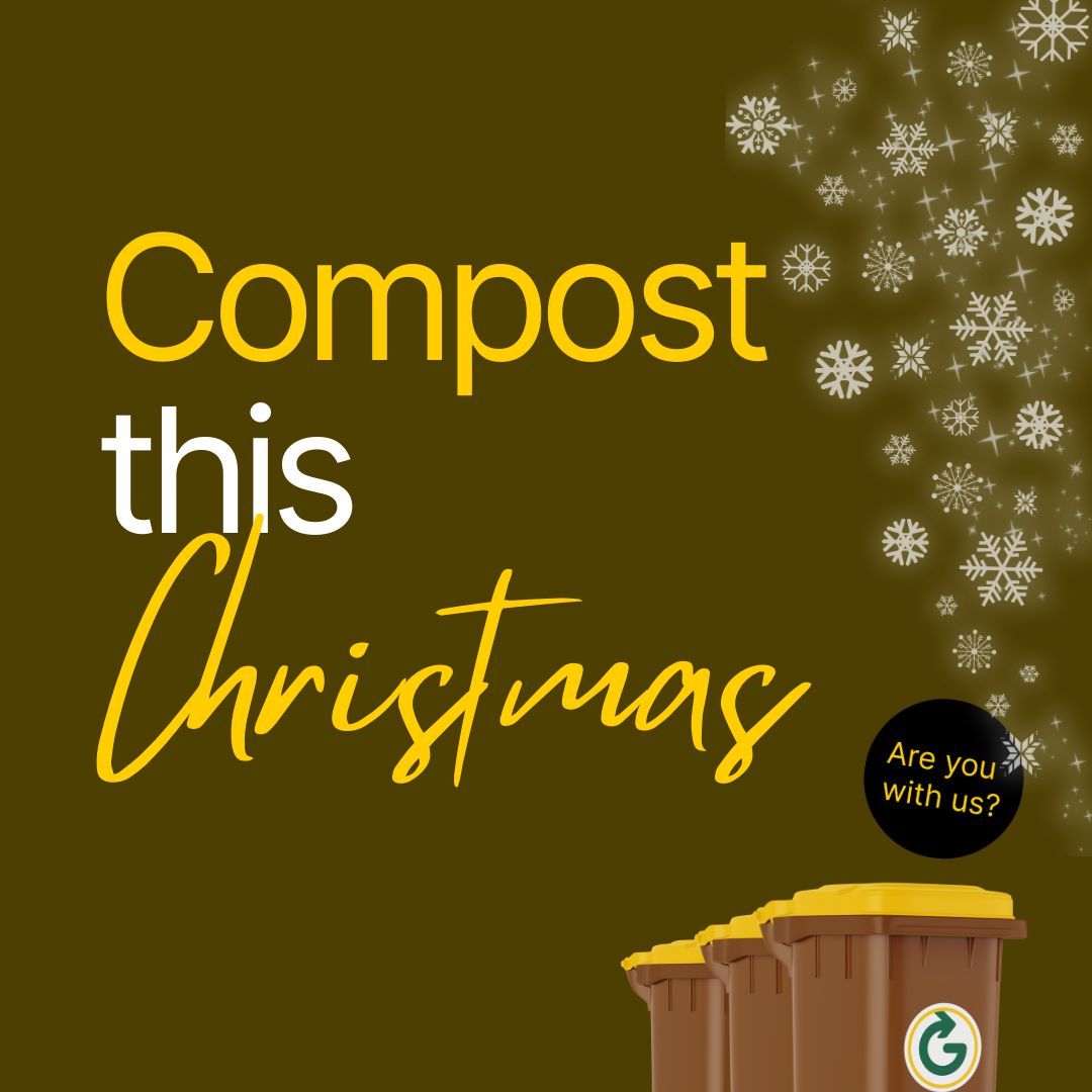 GreyhoundHousehold tweet media