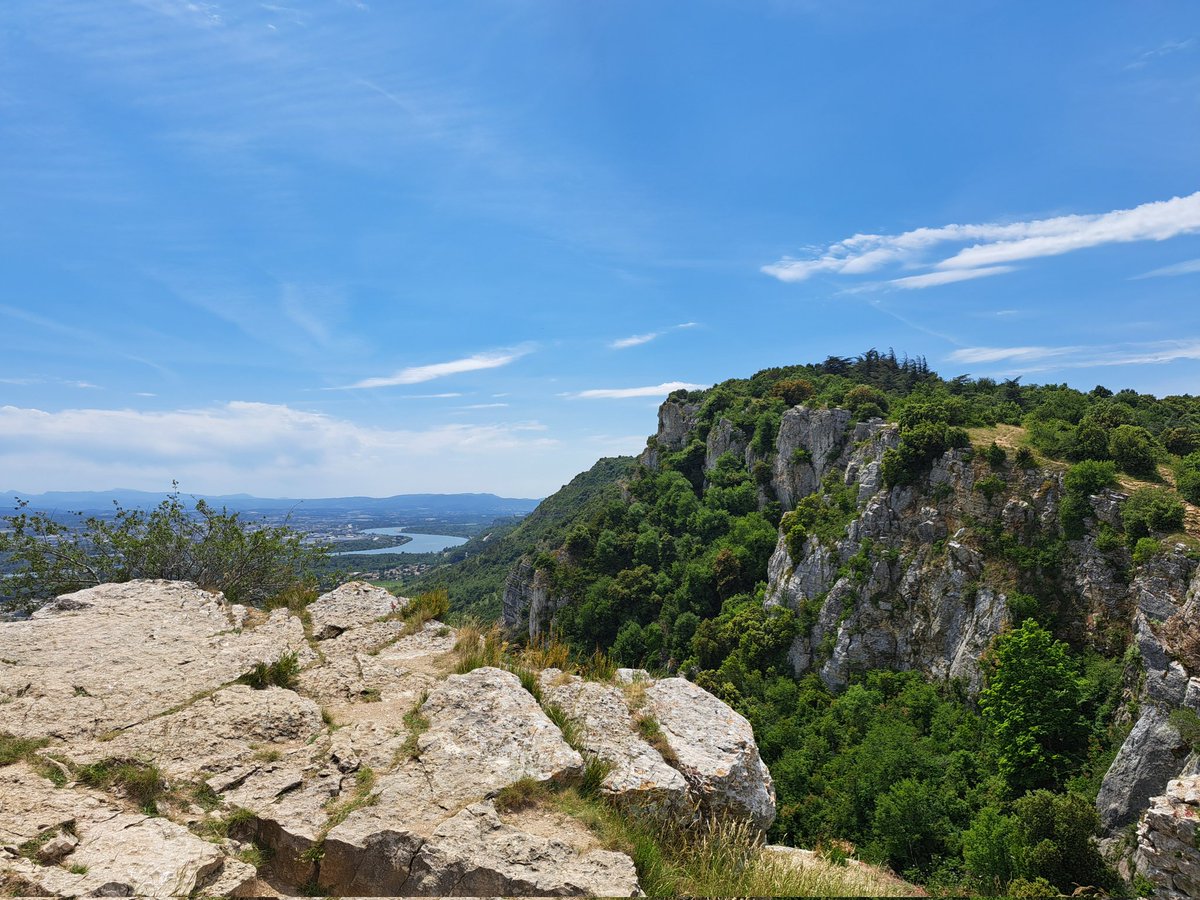 Luu-Ly Do-Quang tweet media