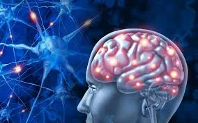 faceoff_tech's tweet photo. Brain Performance Centers: Unlocking Cognitive Potential
#BrainPerformanceCenters #CognitivePotential #MentalFitness #NeuroEnhancement #BrainHealth #CognitiveTraining #Neuroplasticity #MentalWellness #FutureOfTheMind #UnlockYourBrain
https://t.co/gEwxDzYDln https://t.co/uPsHQxS1k9