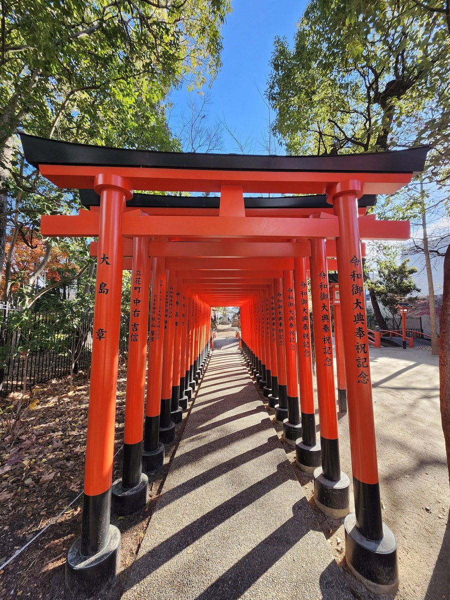 YandY0003's tweet photo. ⛩️豊中稲荷神社
#LUMIXJAPAN #LUMIX
#Panasonic #コンデシ
#DCTZ99 #デシタルカメラ
#写真好きな人と繋がりたい
#カメラ好きな人と繋がりたい
#カメラ男子 https://t.co/NVq7Tcgrgc
