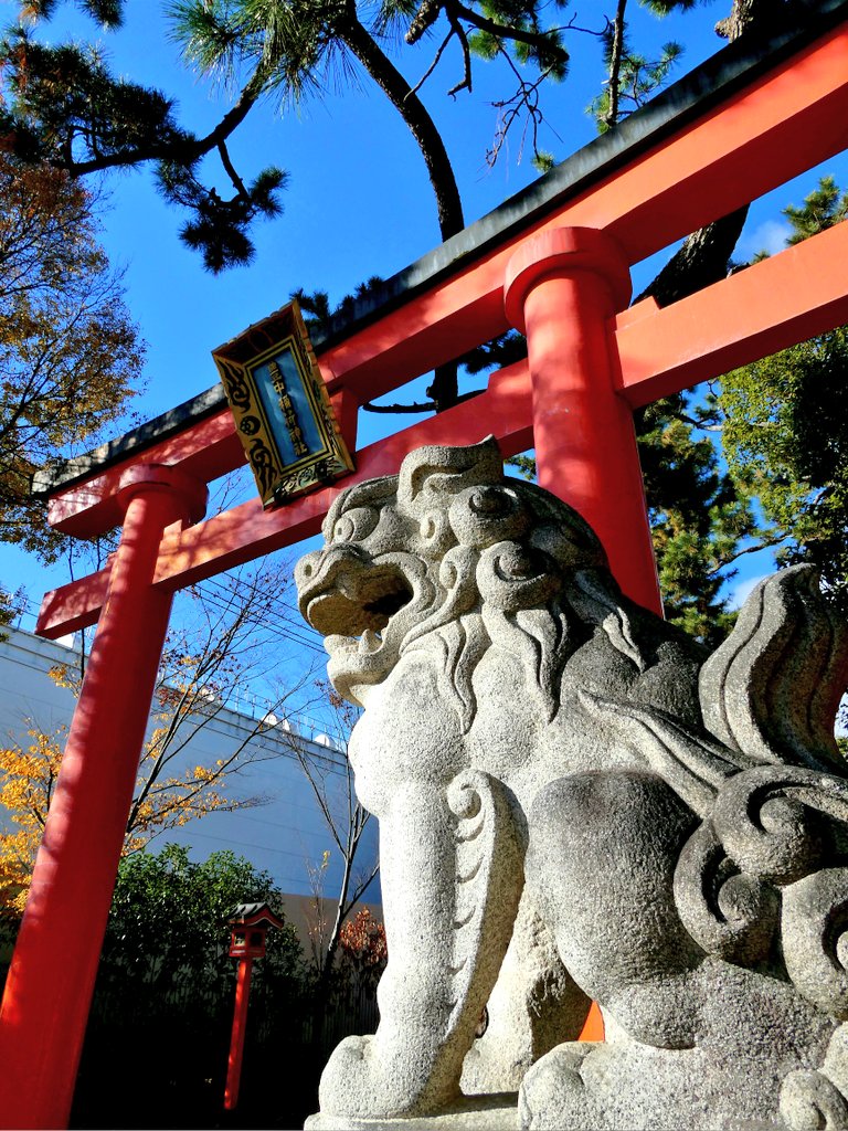 YandY0003's tweet photo. ⛩️豊中稲荷神社
#LUMIXJAPAN #LUMIX
#Panasonic #コンデシ
#DCTZ99 #デシタルカメラ
#写真好きな人と繋がりたい
#カメラ好きな人と繋がりたい
#カメラ男子 https://t.co/NVq7Tcgrgc