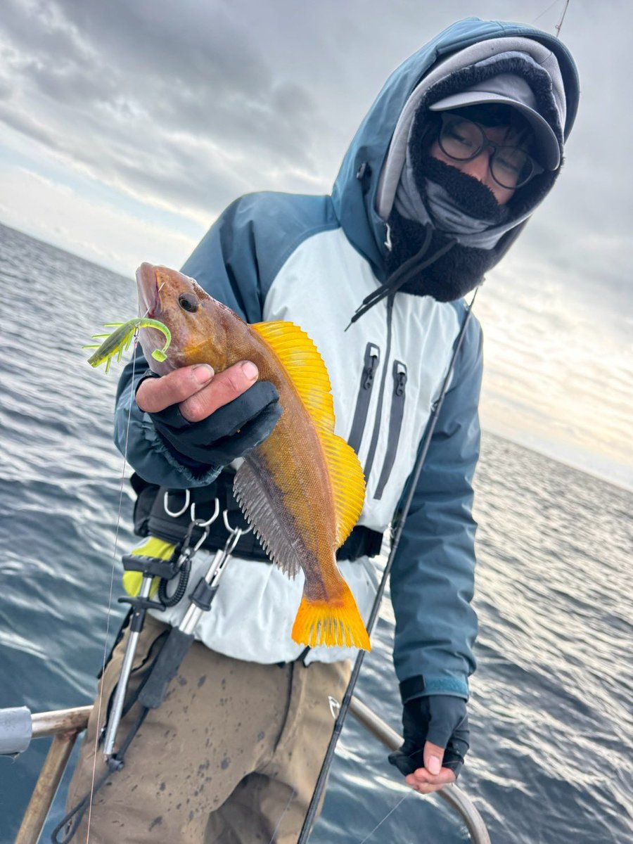 てった tweet media