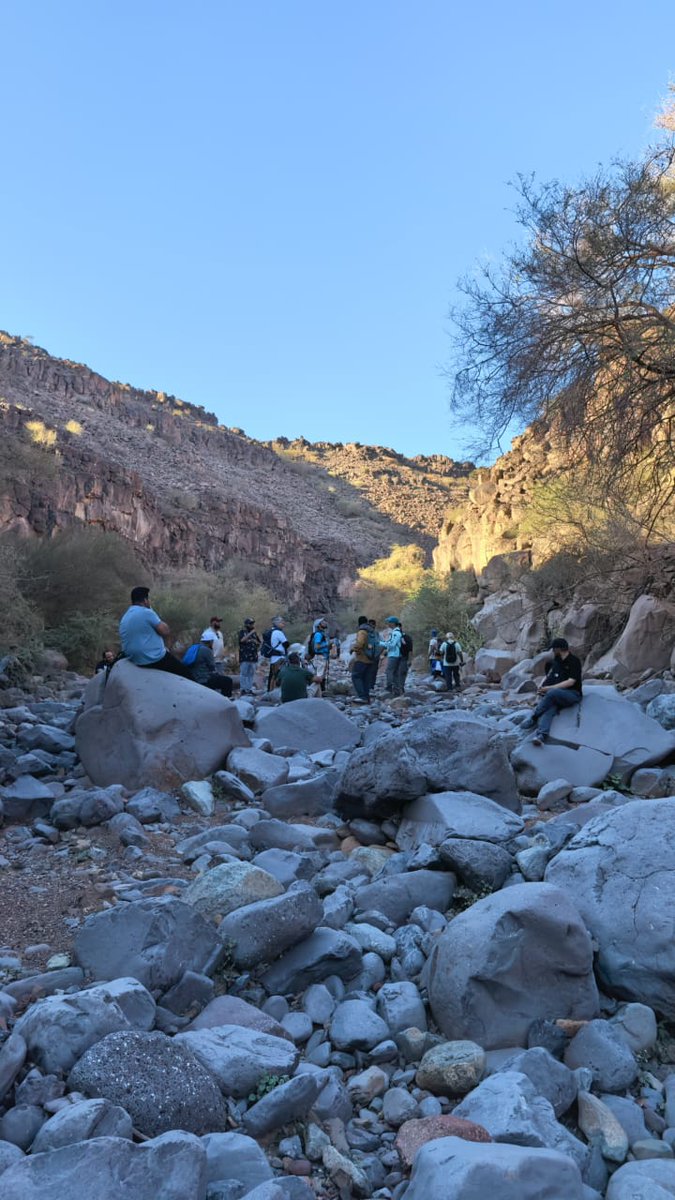 Hikingtaibah هايكنج طيبة tweet media