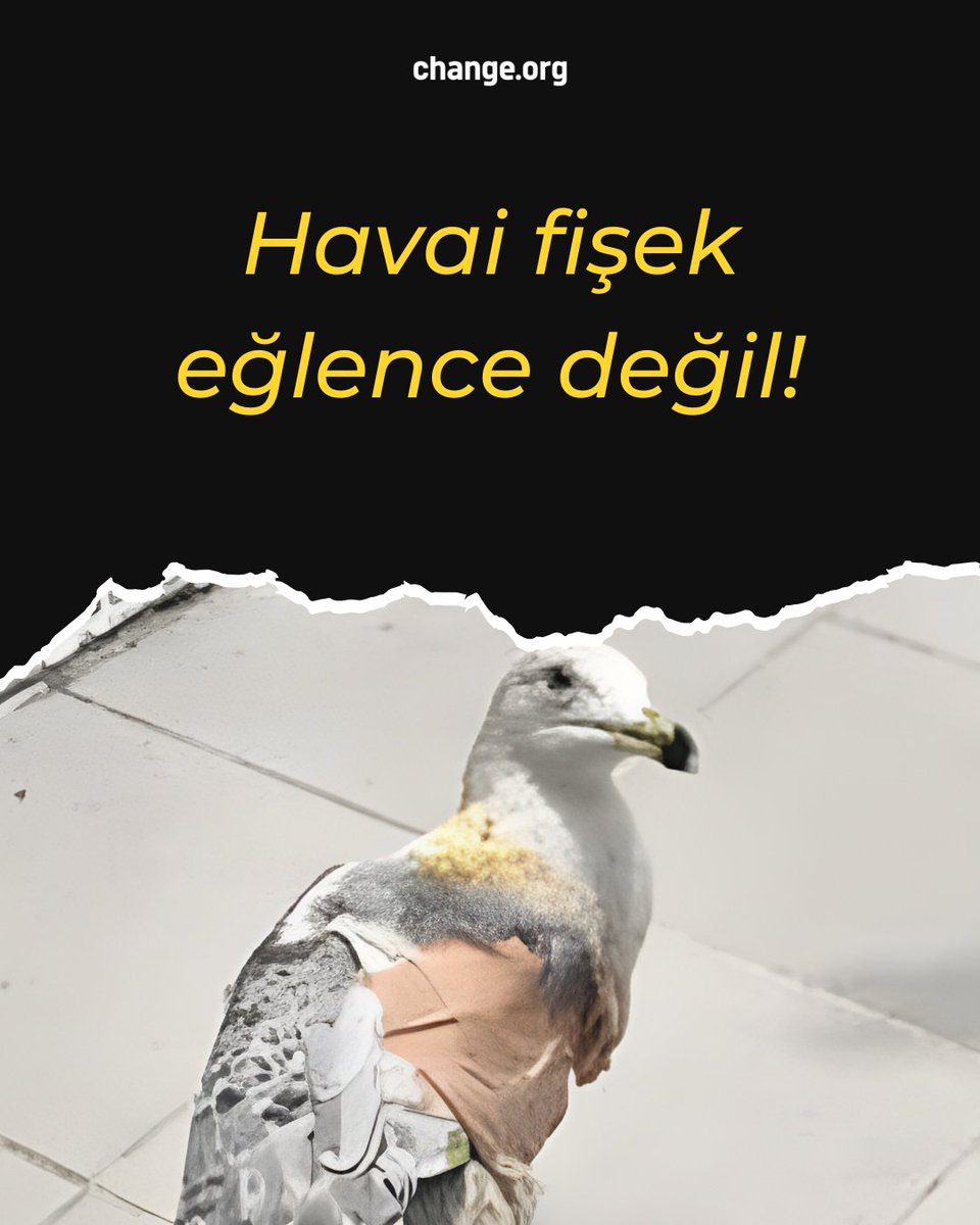 Havai fişeksiz yılbaşı kutlamak mümkün!

- Hayvanlarda, özellikle kuşlarda paniğe ve kalp krizine neden olur.
- Kușların yönlerini şaşırtır, yuvalarından kaçmalarına sebep olur.
- Bebekler, yaşlılar ve hassas bireylerde ciddi stres ve sağlık sorunlarına yol açar.
- Hava ve çevre