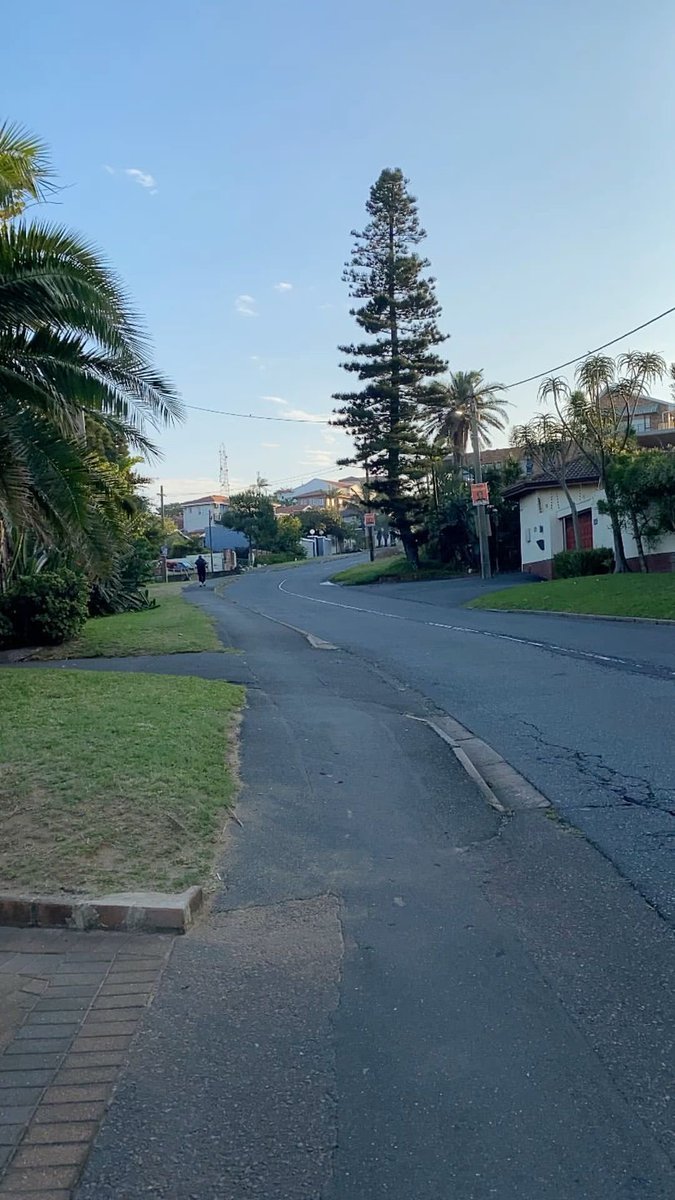 jeremyct's tweet image. Can I get a GM?☀️

happy new week everyone