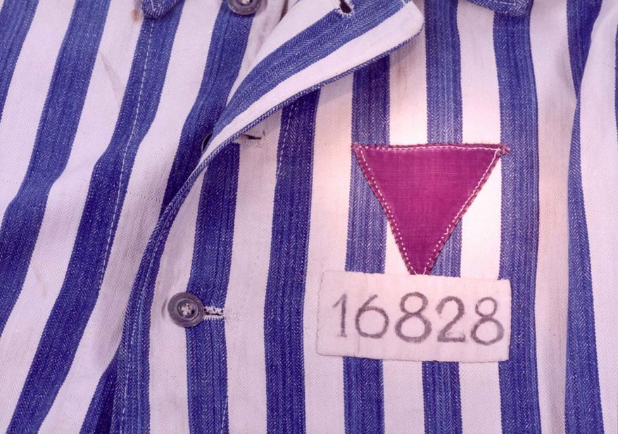 🎪 El Circo Nacional 🎪 tweet media