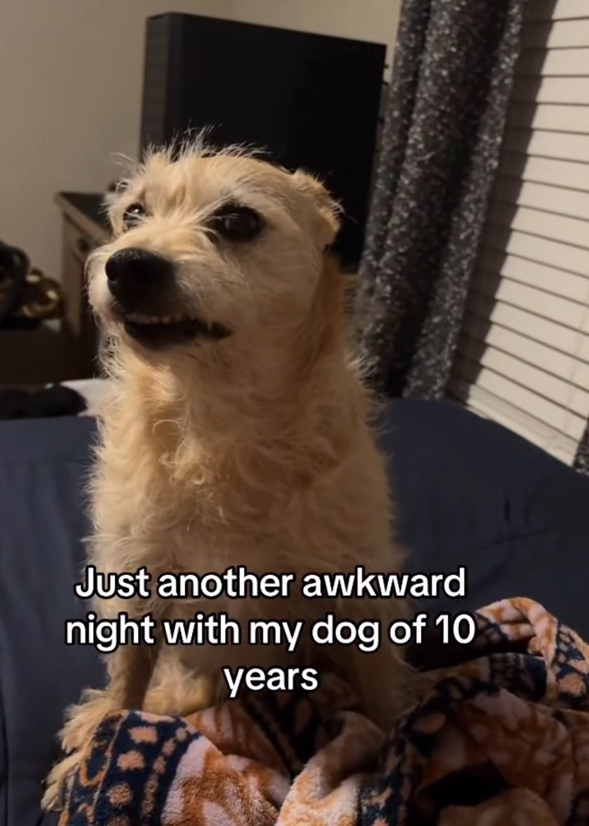 imagesaicouldnt's tweet image. 