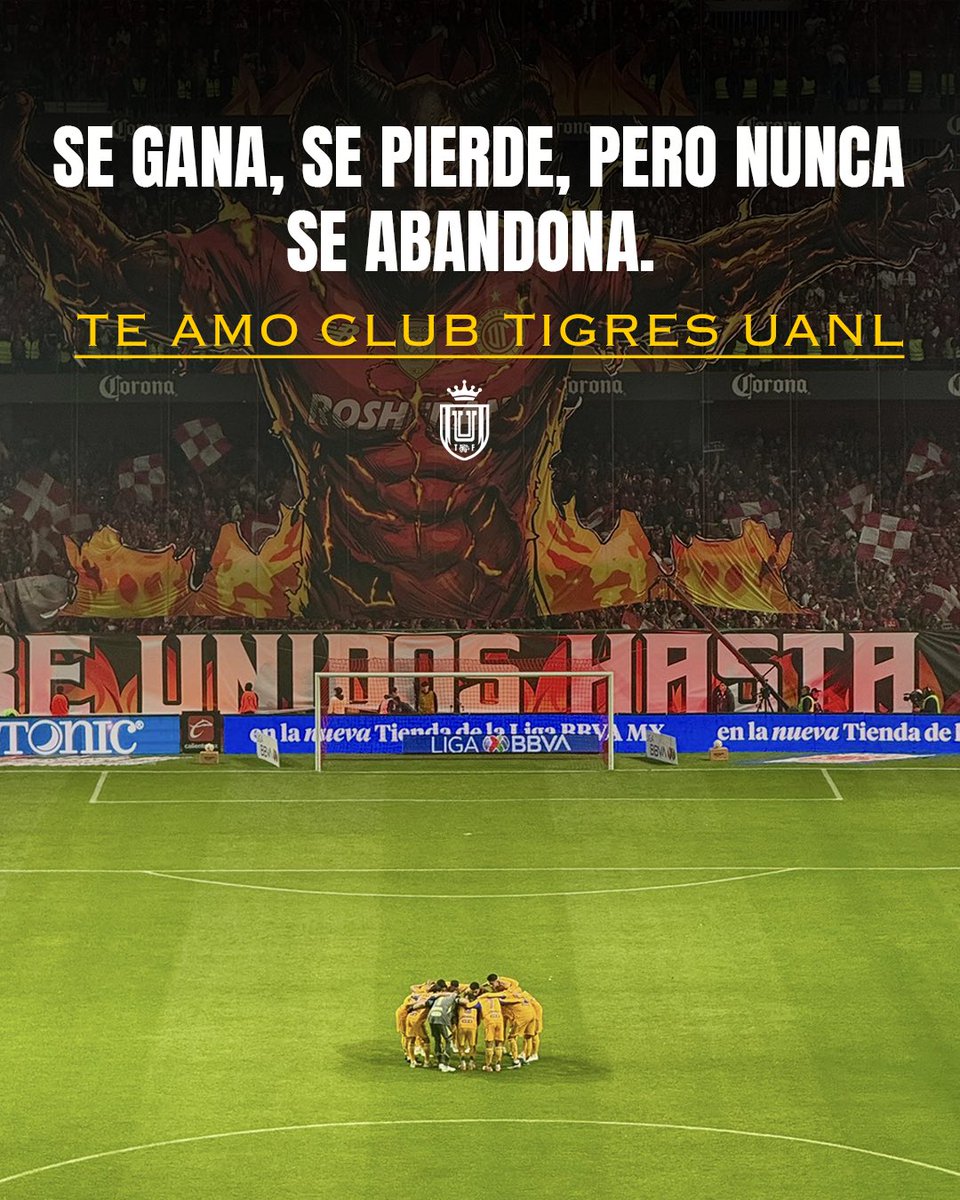 tigresfootball_'s tweet image. 💛💙♾️