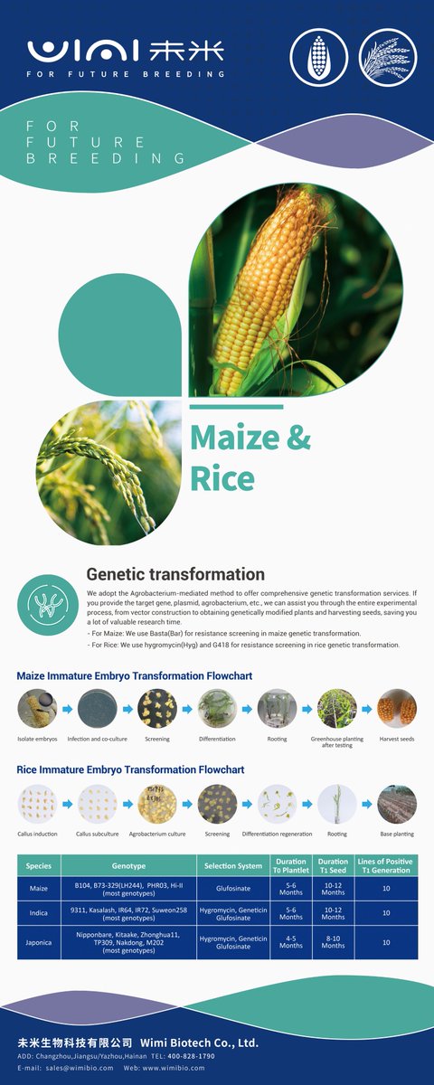 WIMI Biotech tweet media