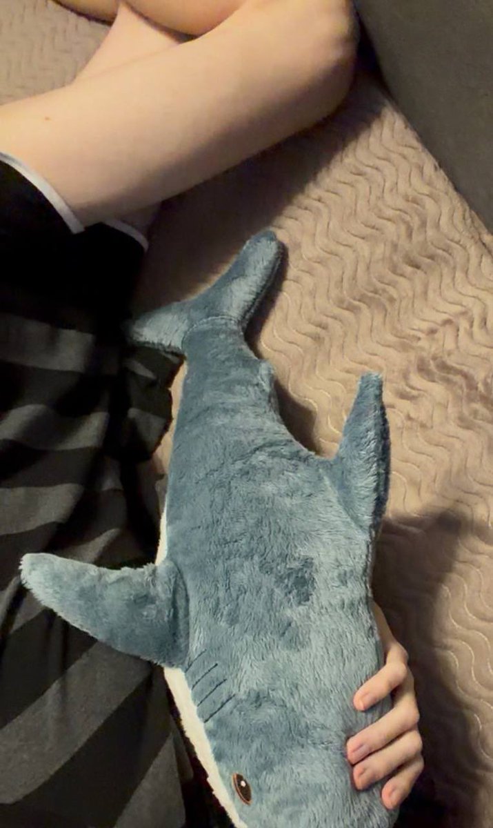 ThatOneeFox's tweet image. Gm nya~ ₍^⸝⸝&amp;gt; ·̫ &amp;lt;⸝⸝ ^₎