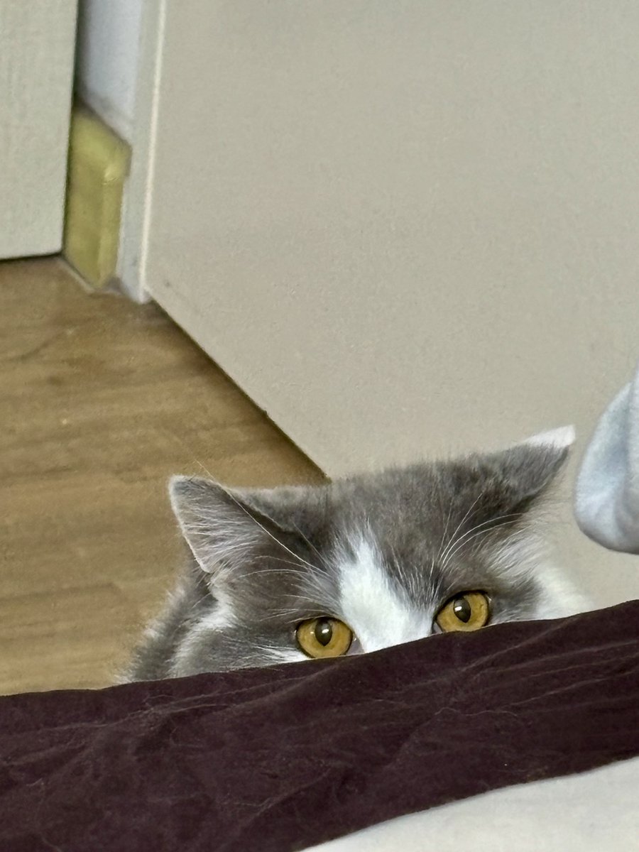 ayoh pink 🇲🇾🇵🇸 tweet media