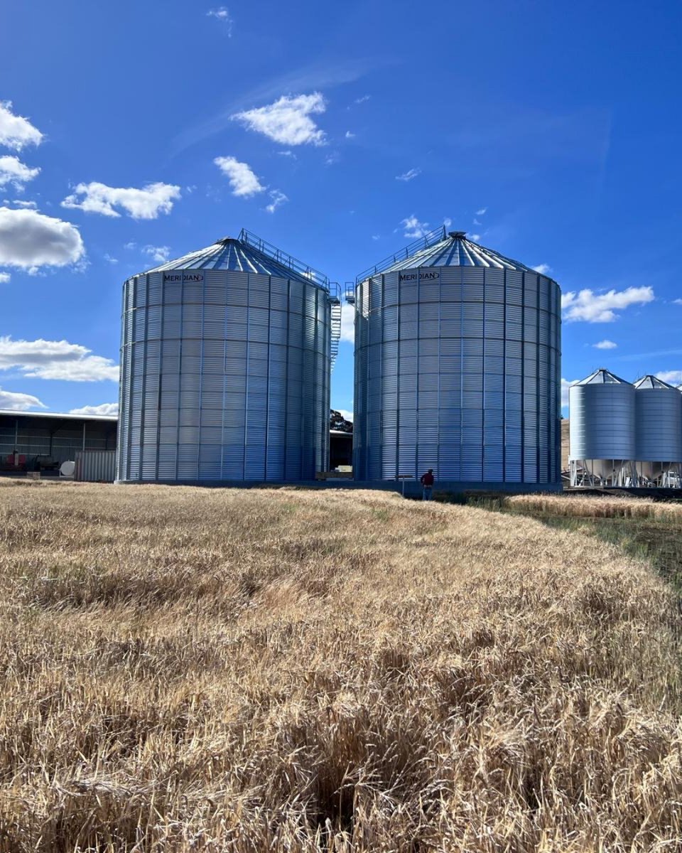 A big milestone wrapped up! Our latest silo installation — two massive 2680-tonne units — is now complete and ready for action.
If you’re planning upgrades or expanding your storage ahead of next season, chat with the Grainlogic team.
#ausag #farmequipment #grainhandling